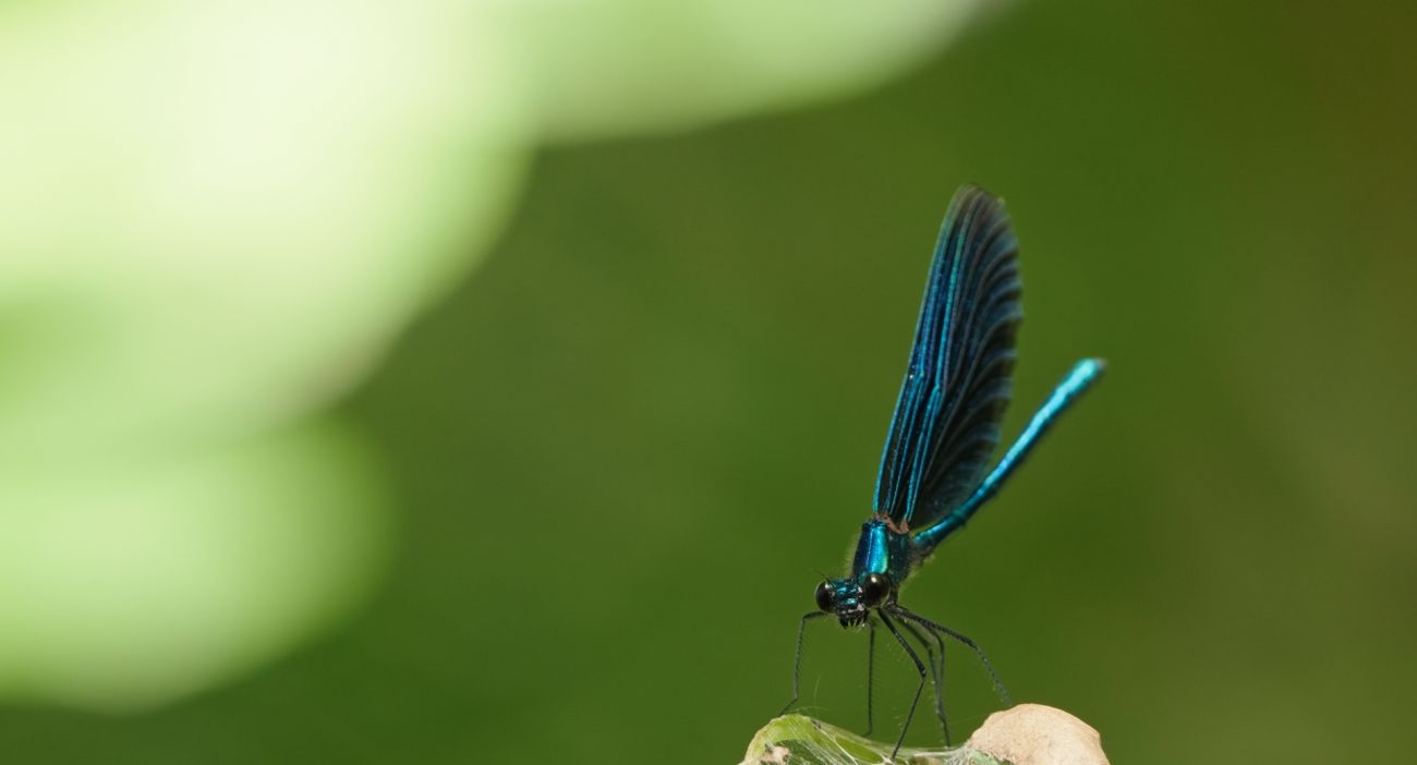 Screenshot 2026 03 07 170122