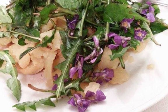 radič i ljubičice proizvodi recepti